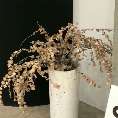 津南福瑞交流群